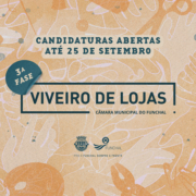 3.ª Fase do Viveiro de Lojas