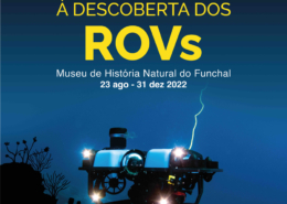 Em exposição no Museu de História Natural do Funchal