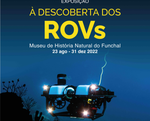 Em exposição no Museu de História Natural do Funchal