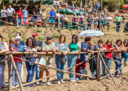 Festa da Alegria no Montado da Esperança