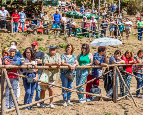 Festa da Alegria no Montado da Esperança