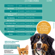 Campanha Profilaxia Médica para Cães e Gatos