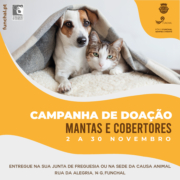 Campanha de doação de mantas e cobertores