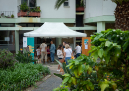 Campanha de vacinação da CMF para animais