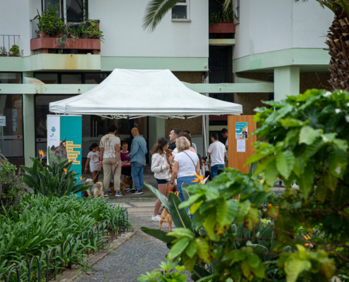 Campanha de vacinação da CMF para animais