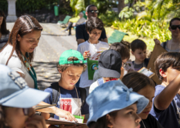 “Jardim com vida” no Jardim Municipal