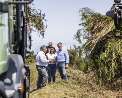 Limpeza e reflorestação de 75% do PEF