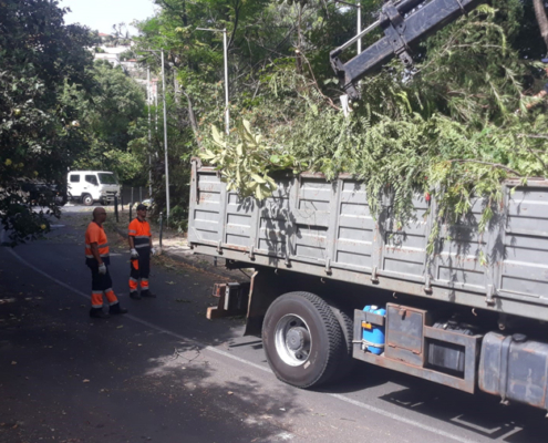 Limpeza junto ao Madeira Tecnopolo