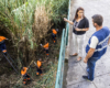 Clean Up The World - Limpar o Funchal do mar à serra