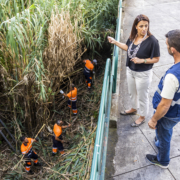 Clean Up The World - Limpar o Funchal do mar à serra