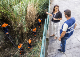 Clean Up The World - Limpar o Funchal do mar à serra