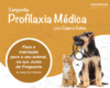 Campanha de profilaxia médica para cães e gatos