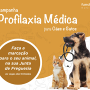Campanha de profilaxia médica para cães e gatos