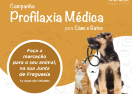Campanha de profilaxia médica para cães e gatos