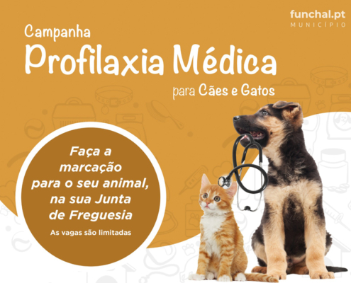 Campanha de profilaxia médica para cães e gatos