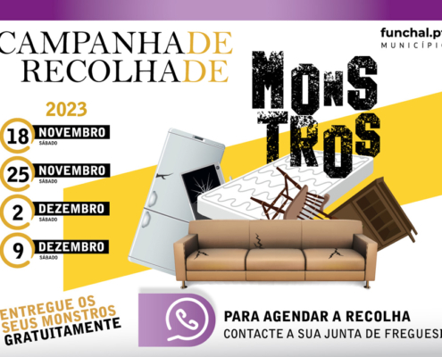Campanha de recolha de “monstros urbanos”