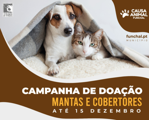 Campanha de doação de mantas e cobertores