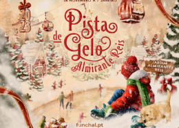 Pista de gelo