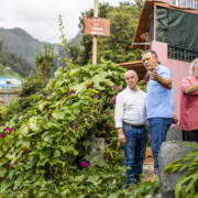 Resolução de problemas em Santo António