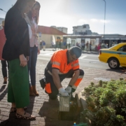 Funchal aumenta a colocação de grelhas nas sarjetas