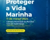 CMF promove ação de formação: "Proteger a Vida Marinha" na Sala da Assembleia Municipal