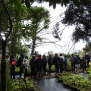 Semana da Árvore e da Floresta 2024 no Parque Ecológico do Funchal