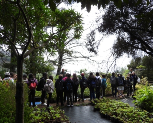 Semana da Árvore e da Floresta 2024 no Parque Ecológico do Funchal