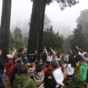 Semana da Árvore e da Floresta 2024 no Parque Ecológico do Funchal com 526 alunos