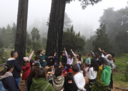 Semana da Árvore e da Floresta 2024 no Parque Ecológico do Funchal com 526 alunos