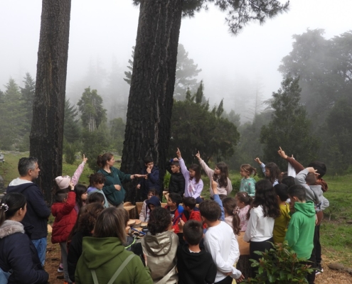 Semana da Árvore e da Floresta 2024 no Parque Ecológico do Funchal com 526 alunos
