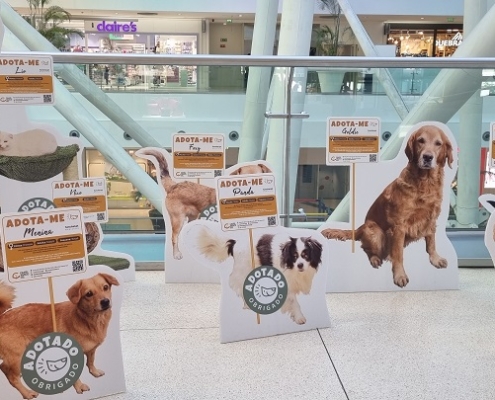 Campanha de Adoção de animais nos Centros Comerciais: 19 animais adoptados