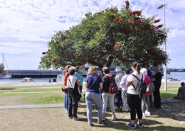 Sensibilização Ambiental da CMF