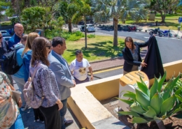 Funchal está a regular zonas de alimentação de gatos em espaços públicos