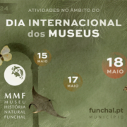 Comemorações do Dia Internacional dos Museus no Museu de História Natural do Funchal: CMF organiza conjunto alargado de iniciativas que começam já manhã