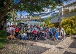 Causa animal com presença reforçada