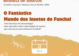 Bioblitz de Insetos
