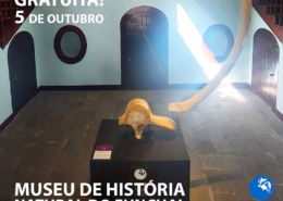 Museu de História Natural do Funchal assinala aniversário