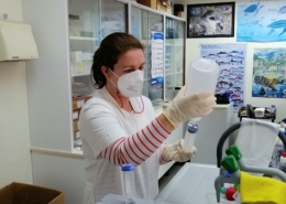 Tratamento laboratorial das amostras_Garajau