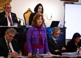 A proposta do novo Regulamento do Ruído registou uma participação “recorde” durante o período de discussão pública