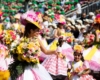 Festa da Flor_lugares estacionamento