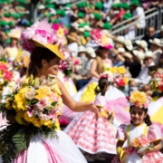 Festa da Flor_lugares estacionamento