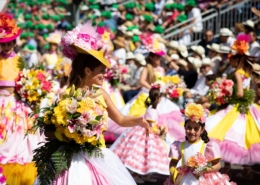 Festa da Flor_lugares estacionamento