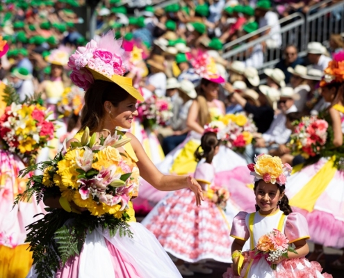 Festa da Flor_lugares estacionamento