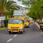 Limpeza do Funchal - Festa da Flor