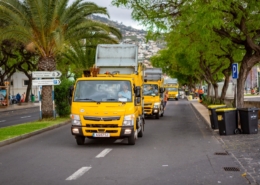 Limpeza do Funchal - Festa da Flor