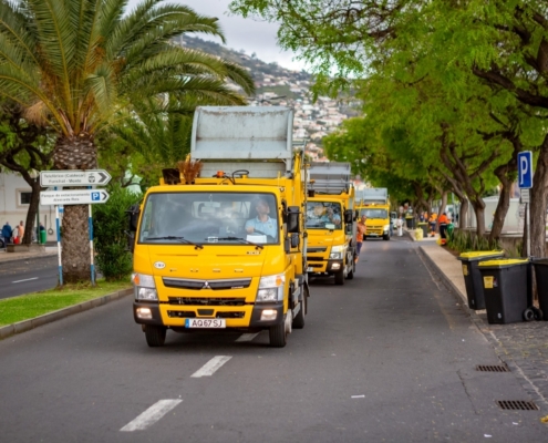 Limpeza do Funchal - Festa da Flor
